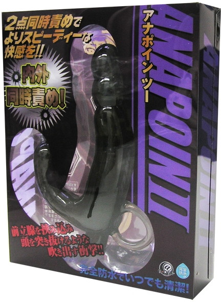アナポインツー