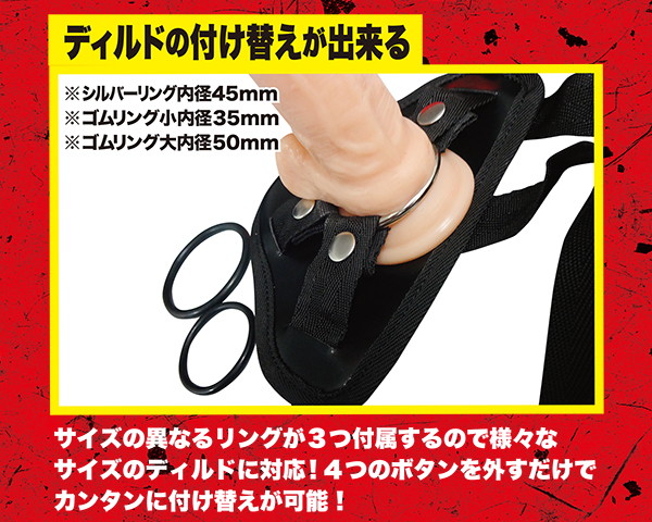 ペニックスバンド 画像7