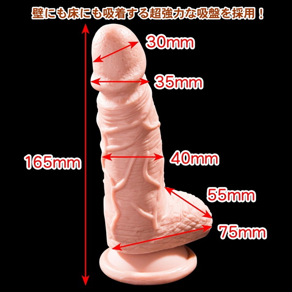 すじまん三郎〜そり立つスジのディルド〜 画像1