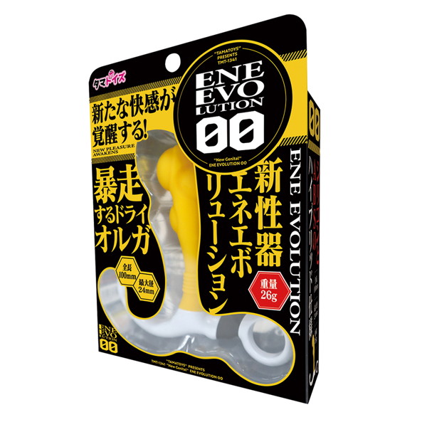 ENE EVOLUTION 00