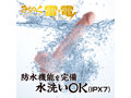 みちのく雷電 画像6