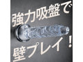 極挿 170 画像2