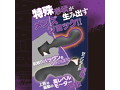 アナブル ゼンリツ 画像1