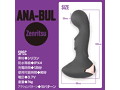 アナブル ゼンリツ 画像2