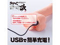 みちのく雷電改 S 画像5
