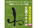 シリコンカルマ リーズン 画像1