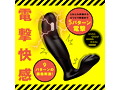 メス堕ちバックバイブ9 ゼンリツサンダー 画像1