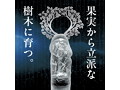 手淫剣マラヌス清SEI（1405） 画像5