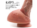 生精巧 type01（NT0040） 画像2