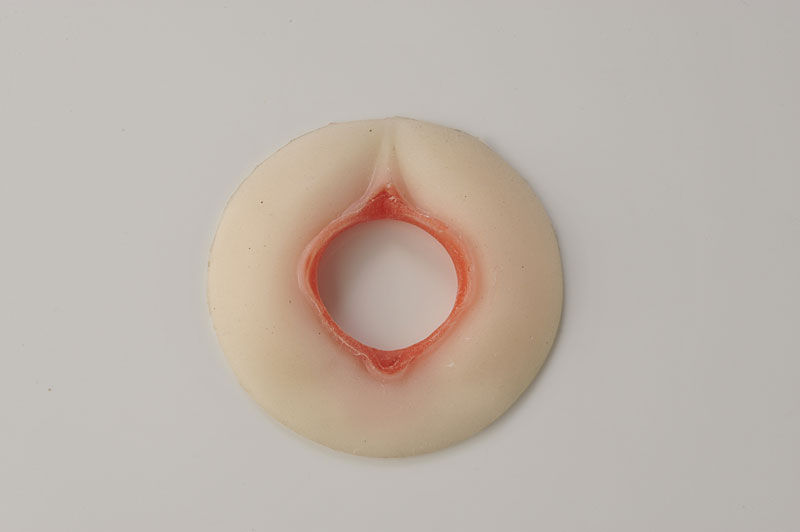 セルファ別売オプション (ハード)ホールキャップ