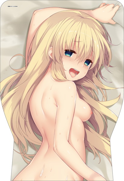 THX とらのあなハメックス専用カバー藤崎ひかり 画像1