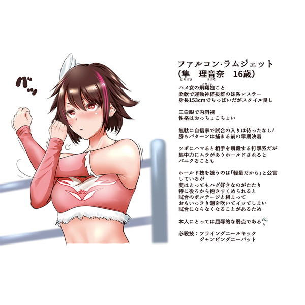 THX とらのあなハメックス2点セット(第1弾ボディ+カバー)HJ 隼 理音奈(illustrator:奥森ボウイ) 画像2