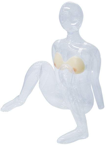 ブラジャー型 ラブボディヒナ専用 つけぱい 画像2
