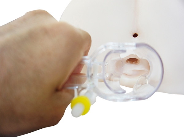 MEDY［メディ］no.6 プラスチックビーク Mサイズ 画像5