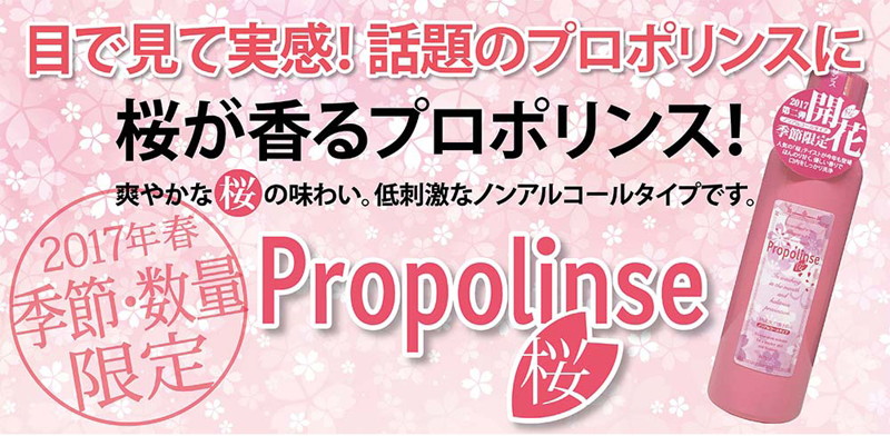 プロポリンスサクラ600ml 画像1