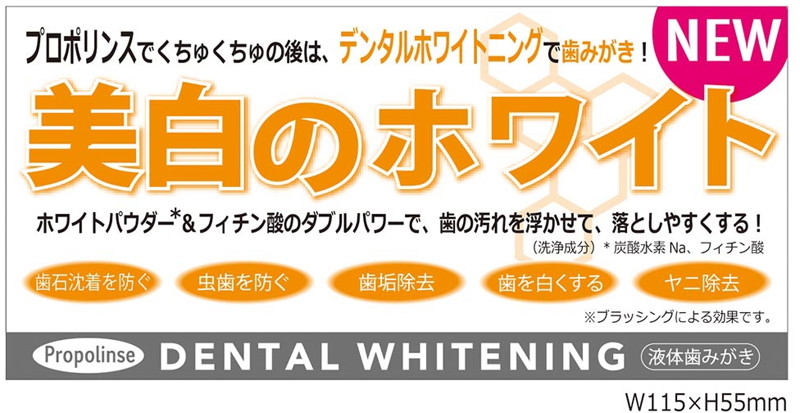 プロポリンスデンタルホワイトニング600ml 画像3