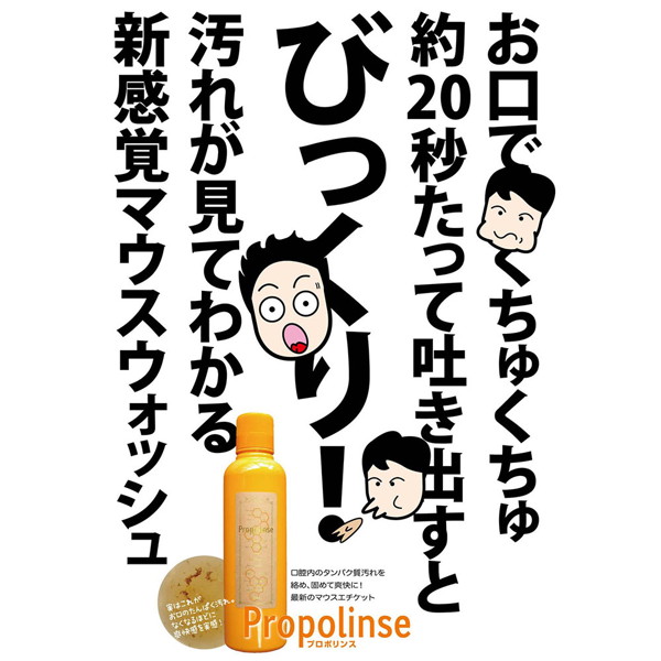 プロポリンスレギュラー600ml 画像2