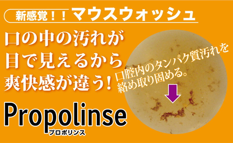 プロポリンスレギュラー600ml 画像4