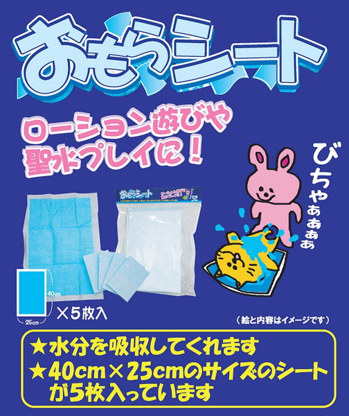 おもらシート(シート5枚入り) 画像3
