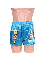 萌え画トランクスブルー 3のサムネイル画像