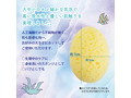 人工海綿 Femスポンジ（2個入） 画像2