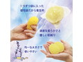 人工海綿 Femスポンジ（2個入） 画像3