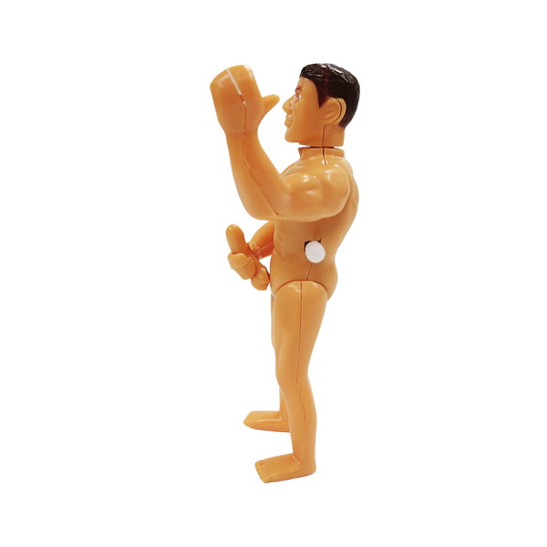 マッチョマン（VERETY-JOKEA5868） 画像4