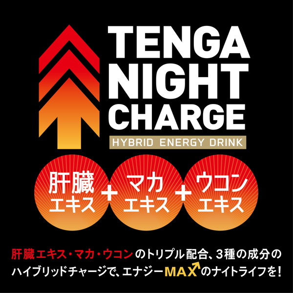 TENGA NIGHT CHARGE 画像2