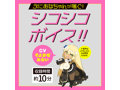 ぷにあなロイド8 画像4