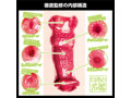 日本の名器 小花のん 画像5