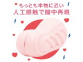 NEW HON-MONO 人工感触 画像1