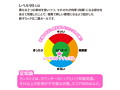 レベル99 ナチュラル 画像4
