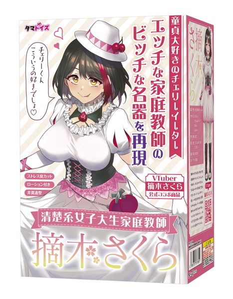 清楚系女子大生家庭教師 摘木さくら