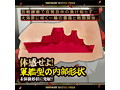 ミッドナイト・バトルフィールド 魅惑の海軍 ローズ・エヴァンス （TRYF-001） 画像5