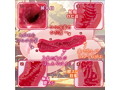 麗しのサセコ先輩 画像2