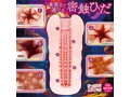 飽触バザール 画像4