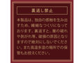 THE MEISTER CLASSIC TITUDANSOU 画像4