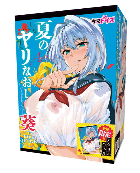 夏のヤリなおし THE HOLE 葵 数量限定版