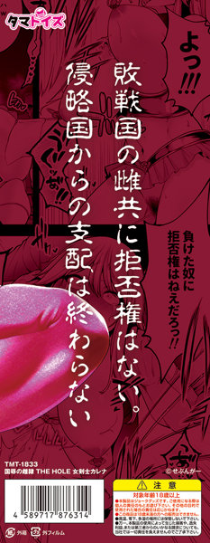 国辱の雌隷 THE HOLE 女剣士カレナ 画像1