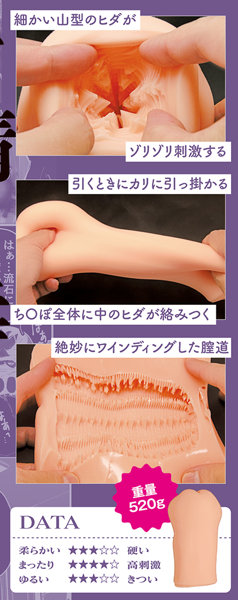 お姉ちゃんは射●中毒 THE HOLE ※数量限定版 画像3