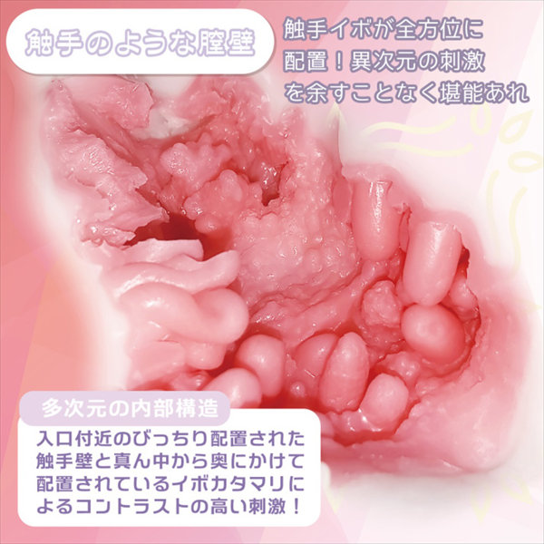 もち雪 からみしょくしゅ（1468） 画像4