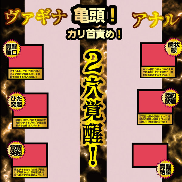 名器覚醒 田中レモン 画像3