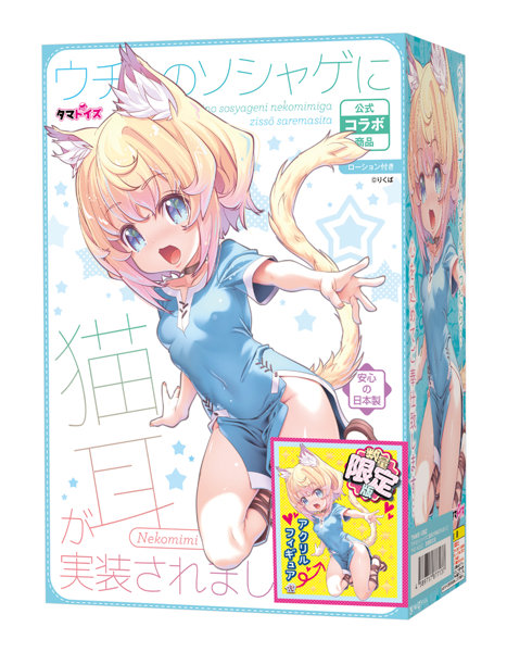 ウチのソシャゲに猫耳が実装されましたTHE HOLE 数量限定版 画像1