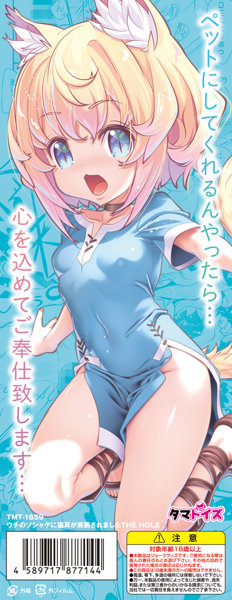 ウチのソシャゲに猫耳が実装されましたTHE HOLE 画像1