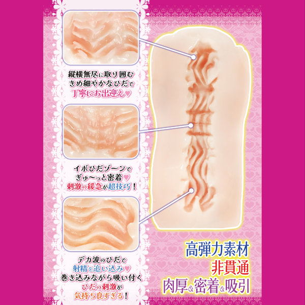 極上名器ほ〜るいんっ！Vol.8 肉厚＆密着＆吸引 ［日本製］［高弾力素材］［非貫通］ illustration by メツブシ 画像1