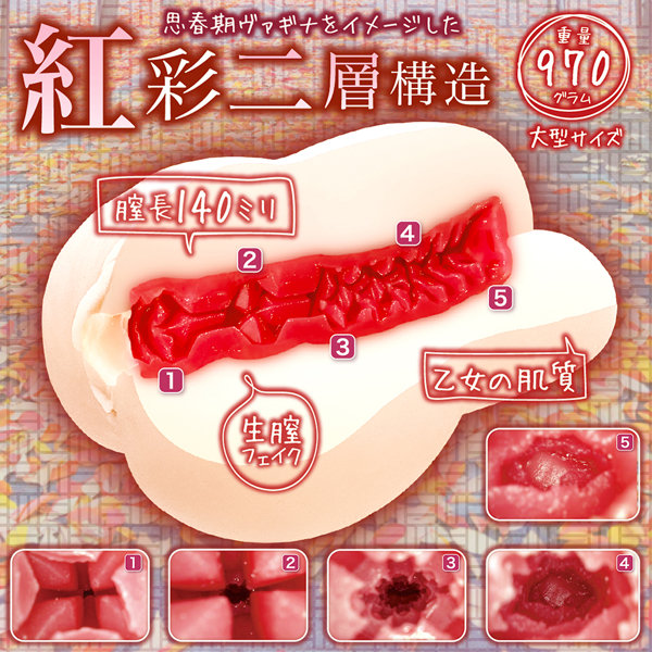 思春期サンクチュアリ 画像4