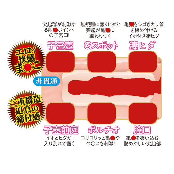 名器の証明ファイル No.013 電動タイプ 田中レモン 画像2