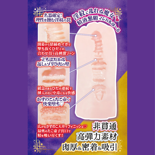 極上名器ほ〜るいんっ！Vol.15 肉厚＆密着＆吸引 ［日本製］［高弾力素材］［非貫通］ illustration by ゴンデロガ 画像1