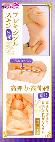 敵国に囚われたアンテロープ国の姫騎士名器 画像1