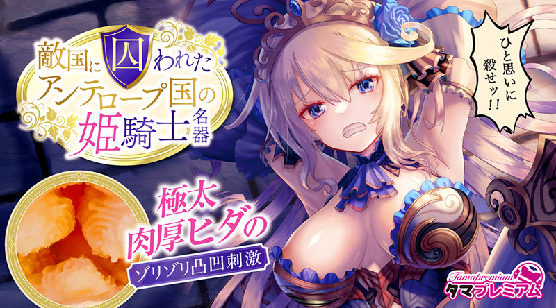 敵国に囚われたアンテロープ国の姫騎士名器 画像4